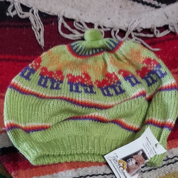 Vintage Accessories - Nwt! Adorable Made In Peru. Alpaca Wool Colorful Beret